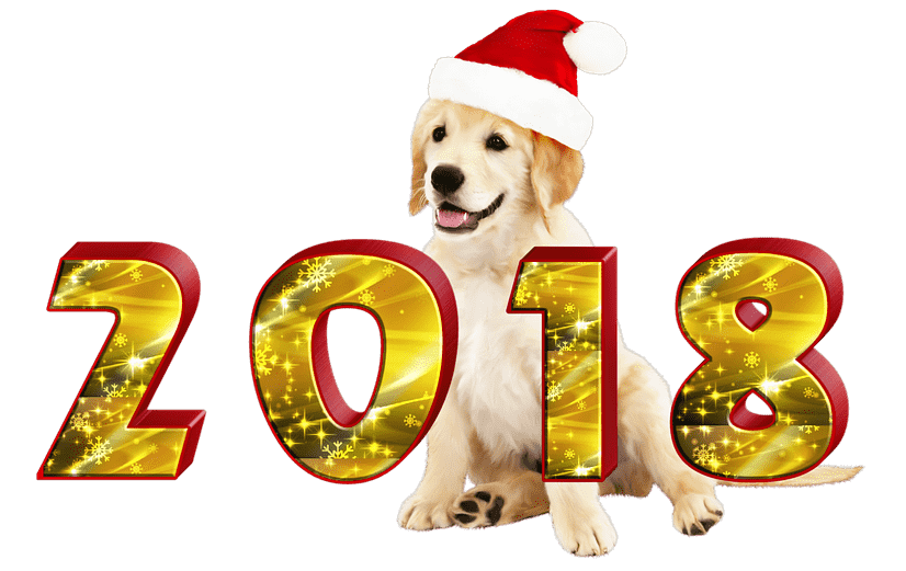 Piesek 2018
